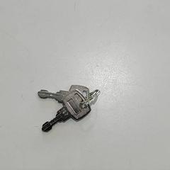 Sleutels, zoals gemeld door Regio Oost-Vlaanderen met iLost