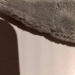 Peluix, segons ha informat De Efteling mitjançant iLost