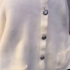 Weste, gemeldet von Leonardo Royal Hotel Amsterdam über iLost