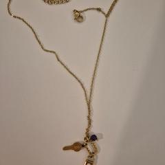 Kettinkje Goudkleurig, como reportado por NHL Stenden hogeschool Leeuwarden utilizando o iLost