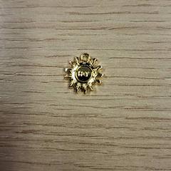 Necklace Goudkleurig, as reported by Gemeente Nijkerk using iLost