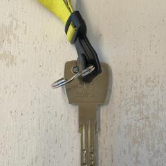 Kľúč, ako bolo nahlásené GVB pomocou iLost