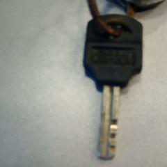 İLost kullanarak Walibi Holland tarafından bildirildiği gibi Autosleutel