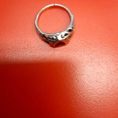 Ring, zoals gemeld door UvA REC met iLost