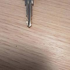 Chiave, come riportato da Qbuzz Fryslân utilizzando iLost