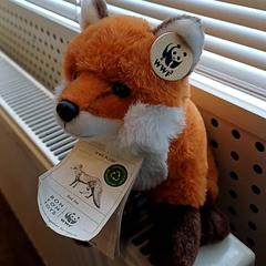 Xoguete de peluche, segundo informou Qbuzz GD Groningen HS usando iLost