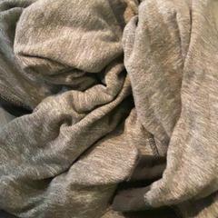 Pulli Gray, as reported by MEININGER Hotel Heidelberg Hauptbahnhof using iLost