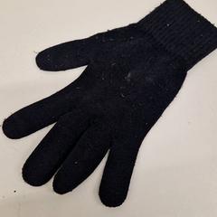 Glove hanfachoen, as reported by Transdev Gooi en Vechtstreek using iLost