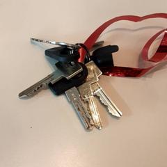 Navalla, segundo informou LUMC usando iLost