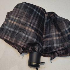 Paraply, som rapportert av Rijksmuseum van Oudheden ved bruk av iLost