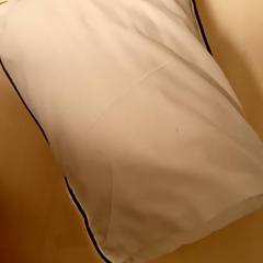 Coussin Creme, a été signalé par Mövenpick Hotel Amsterdam City Centre utilisant iLost