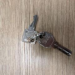 Sleutel, zoals gemeld door TCR Tours met iLost