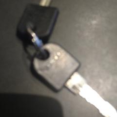 Sleutelbos, segundo informou TivoliVredenburg usando iLost