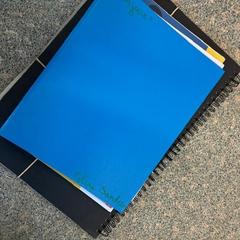 Schoolgerief Sanders, como reportado por Regio Oost-Vlaanderen utilizando o iLost