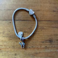 Sieraad armband Pandora, ha sido reportado a iLost