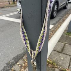 Set of keys with crochet keychain, gerapporteerd met iLost