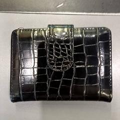 Lommebok Moed, som rapportert av Qbuzz GD Groningen HS ved bruk av iLost