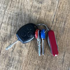 Sleutels, come riportato a iLost