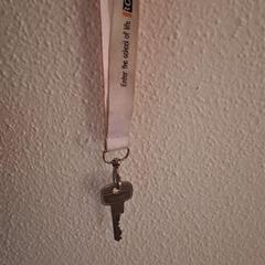 Sleutel keycord roc، كما تم الإبلاغ عنه عبر iLost