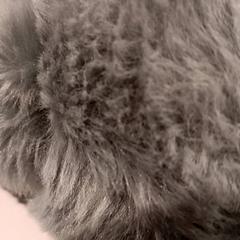 Peluche, come riportato da De Efteling utilizzando iLost