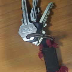 Sleutelbos, ako bolo nahlásené Transdev Hoeksche Waard Goeree Overflakkee pomocou iLost