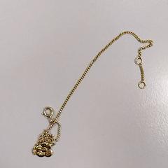 Halsband, rapporterat av Vrije Universiteit Amsterdam med iLost