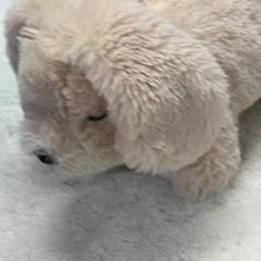 Väska, rapporterat av IKEA Arlon med iLost