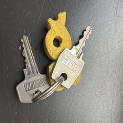 Sleutels met sleutelhanger BOB, gerapporteerd met iLost