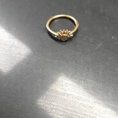 الخاتم، كما تم الإبلاغ عنه بواسطة TU/e - Receptie Vertigo عبر iLost