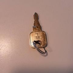 Key, as reported by St. Antonius Ziekenhuis Woerden using iLost