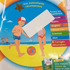 Cahier de vacances がiLostで IKEA Clermont Ferrand によって報告されました