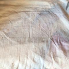 Hoofdkussen, zoals gemeld door Attractie- & Vakantiepark Slagharen met iLost