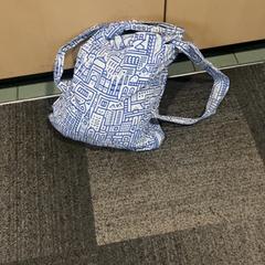 Bag met inhoud, as reported by Jaarbeurs using iLost