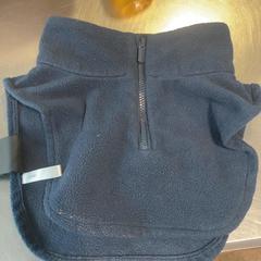 Slabber Blauw, rapporterat av Burgers' Zoo med iLost