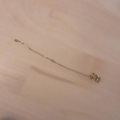 Bracelet, a été signalé par LUMC utilisant iLost