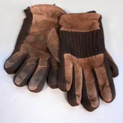 Handskar, rapporterat av Diergaarde Blijdorp med iLost