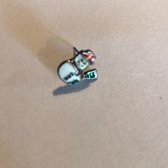 귀걸이, iLost를 사용하여 Attractie- & Vakantiepark Slagharen에 보고됨