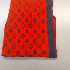 Sjaal Rood blauw, come riportato da Regio Limburg - Leuven utilizzando iLost