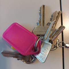 Sleutelbos, a été signalé par Arriva Limburg Noord utilisant iLost