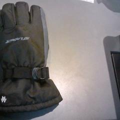 Glove, as reported by SnowWorld Landgraaf using iLost