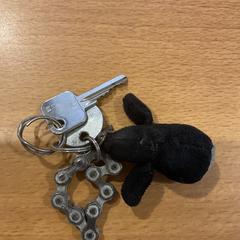 Sleutels, zoals gemeld door Gemeente Amsterdam met iLost