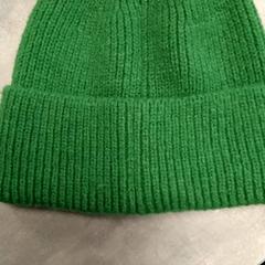 Muts Groen, zoals gemeld door Arriva Friesland / Groningen met iLost