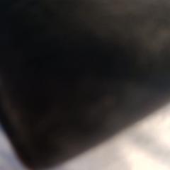 Brieftasche, gemeldet von Walibi Holland über iLost