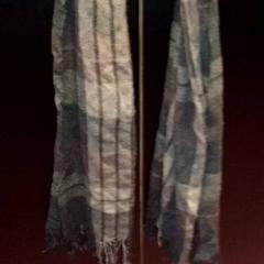 Xal Bruin, segons ha informat TivoliVredenburg mitjançant iLost