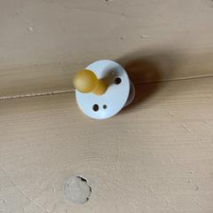 Dudlík, jak nahlášeno Familie Resort Molenwaard pomocí iLost