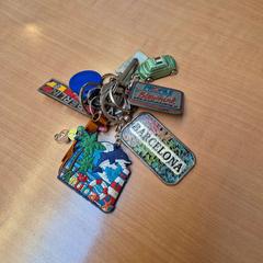 Kľúčenka, ako bolo nahlásené Gemeente Zutphen pomocou iLost