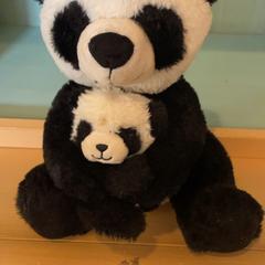 Peluxea, gisa salatu by Familie Resort Molenwaard iLost erabiliz