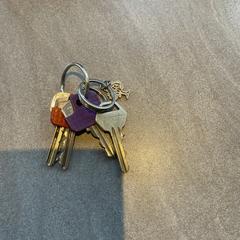 Sleutelbos, como reportado ao iLost