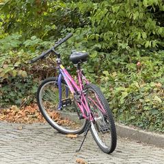 Fiets a été signalé sur iLost
