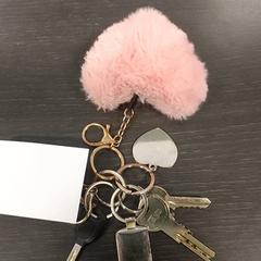 Sleutels, iLost를 사용하여 Centraal magazijn에 보고됨